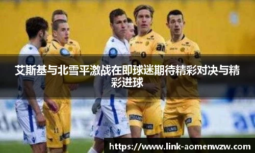 王中王官网资料