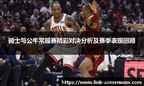 王中王官网资料